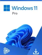 Windows 11 pro digital key